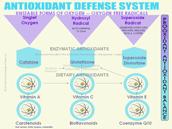 antioxidant-defense chart