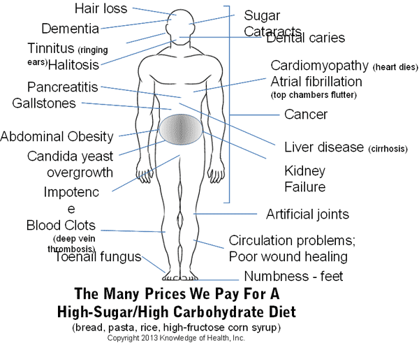 high carbohydrate diet