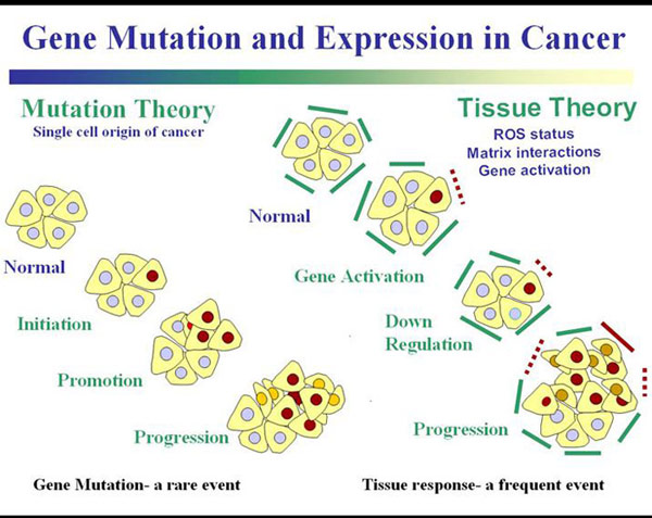 gene-mutation-cancer