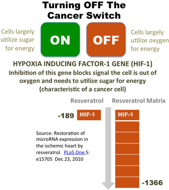 turn-off-cancer-switch