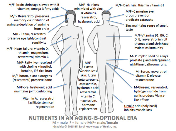 anti-aging-nutrients