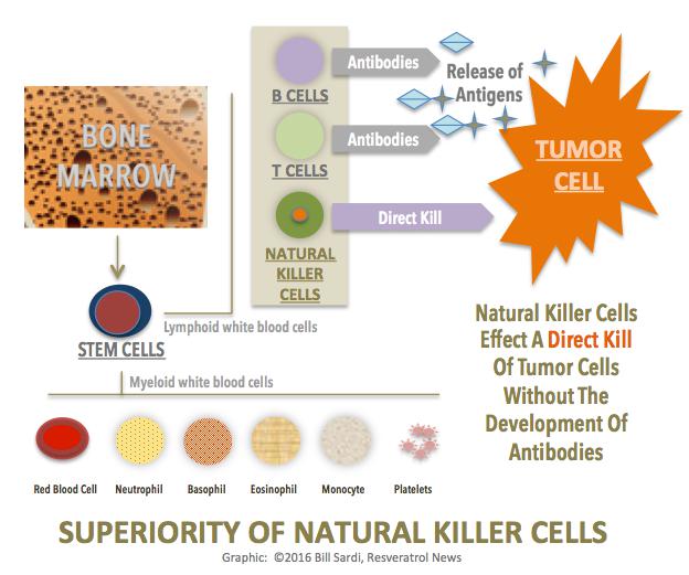 Chart: Superiority of Natural Killer Cells