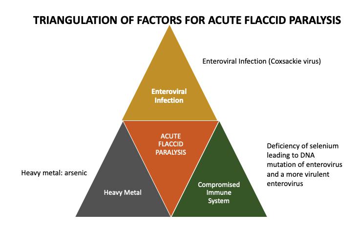 triangulation of factors for acute flaccid paralysis