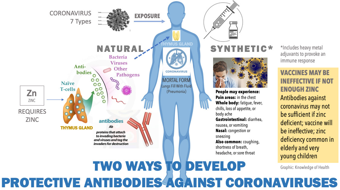 2 ways to develop coronavirus antibodies