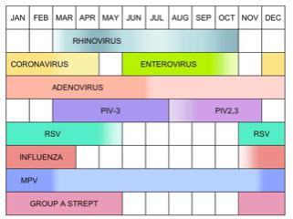 Chart: coronavirus cycle