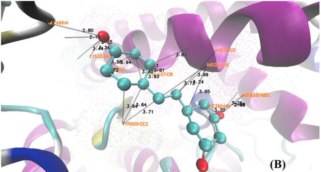 Resveratrol molecule docking to spike protein